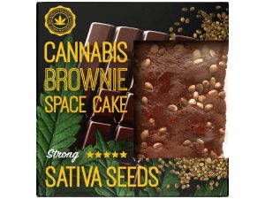 cannabis brownie space cake sativa seeds strong flavour canna101sb 1 Kopen? | Zeer scherpe prijzen | ABCParty