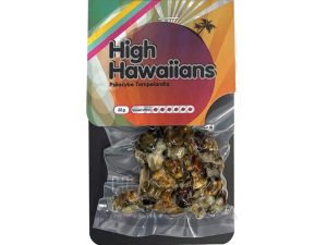 high hawaiians 600x600 1 Kopen? | Zeer scherpe prijzen | ABCParty